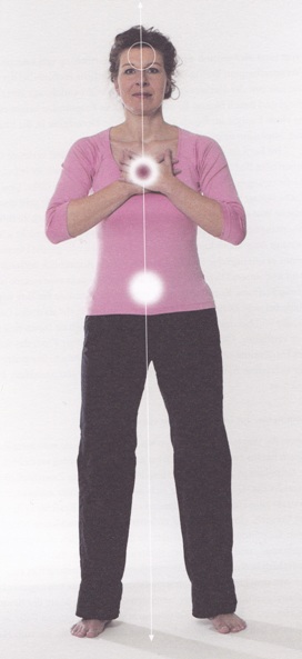 Quelle:Der Herzkreis