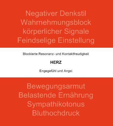 Quelle:Der Herzkreis